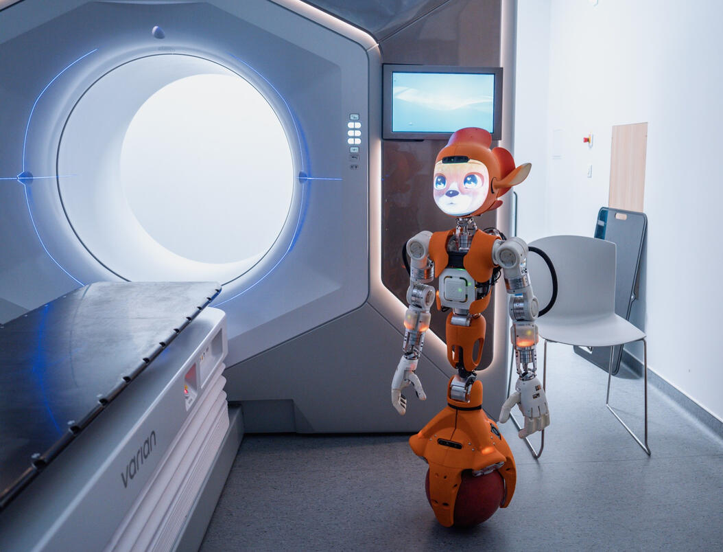Guillaume Bonifas, Innovative Solutions Architect and Leader in Robotics and AI
